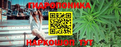 PSILOCYBIN Ипатово