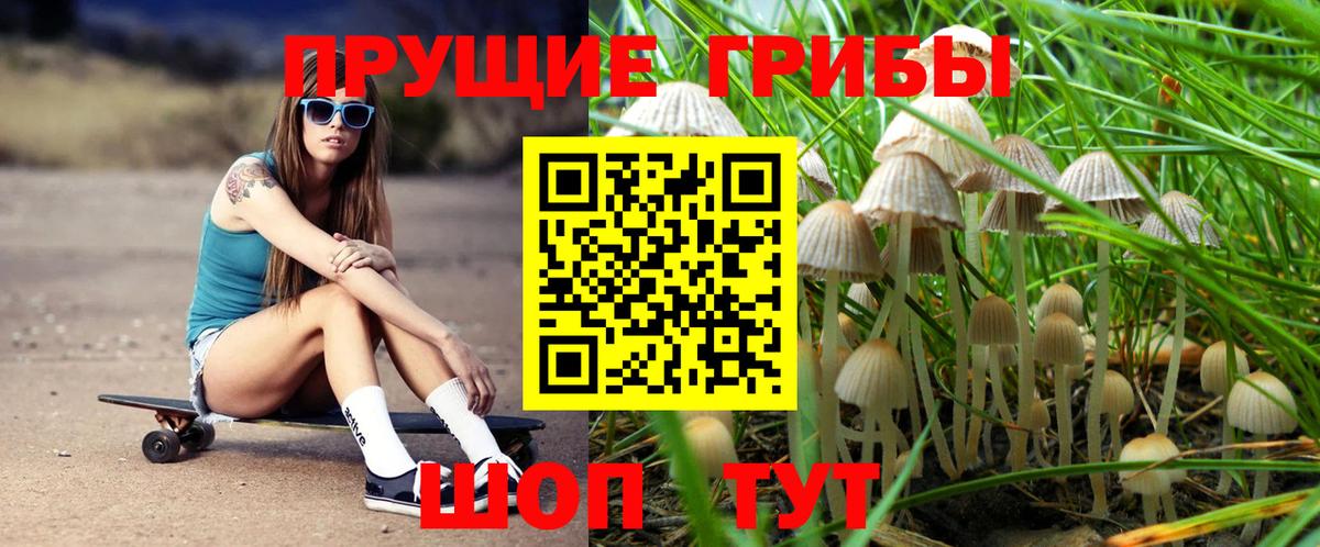 Лянтор  Псилоцибиновые грибы Psilocybe  наркошоп  Вход с VPN  Псилоцибиновые грибы Psilocybine cubensis 